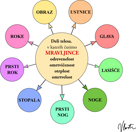 mravljinci po telesu deli telesa
