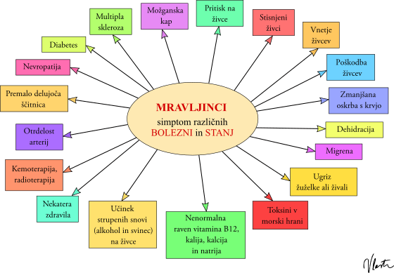 mravljinci po telesu bolezni