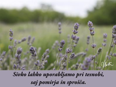 tesnoba naravna zdravila sivka