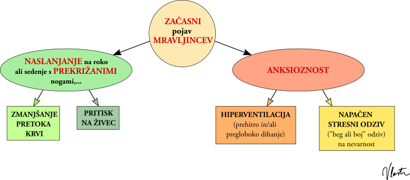 mravljinci po telesu začasni
